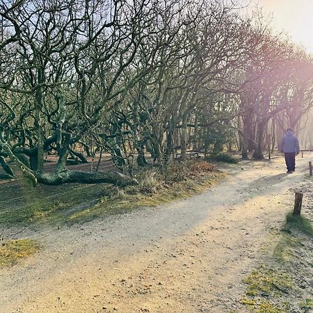 Beach & Forest Retreat -Domburg- 오스트카펠 외부 사진