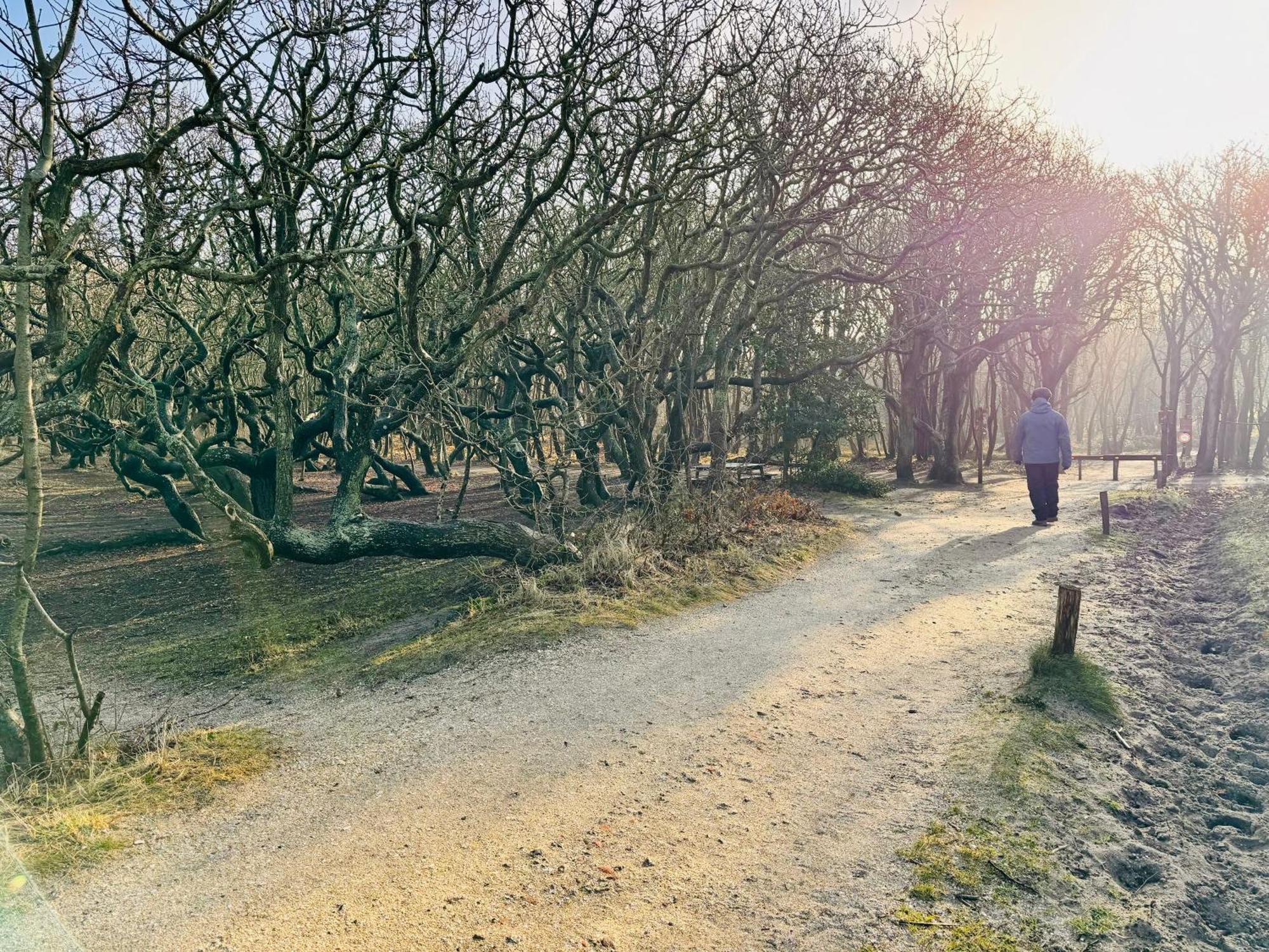 Beach & Forest Retreat -Domburg- 오스트카펠 외부 사진
