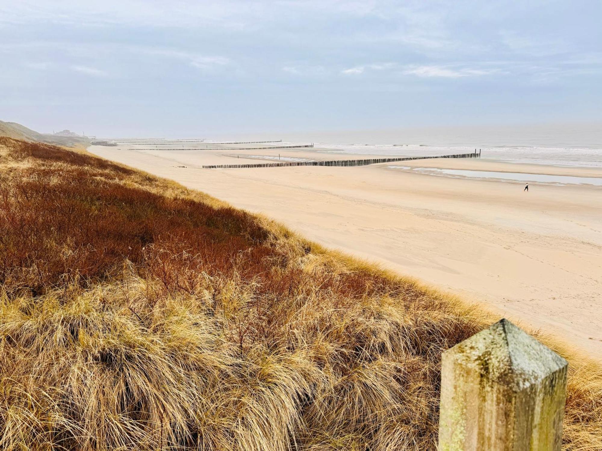 Beach & Forest Retreat -Domburg- 오스트카펠 외부 사진