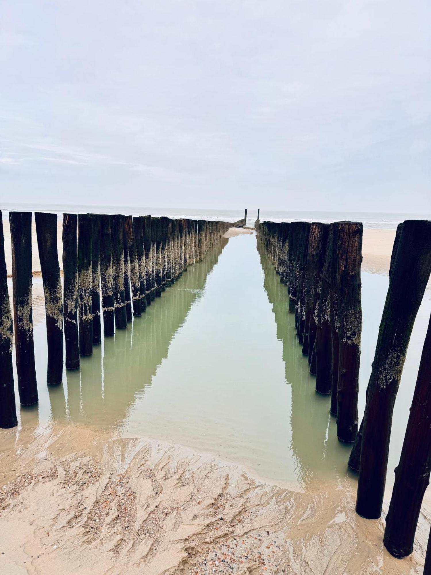 Beach & Forest Retreat -Domburg- 오스트카펠 외부 사진