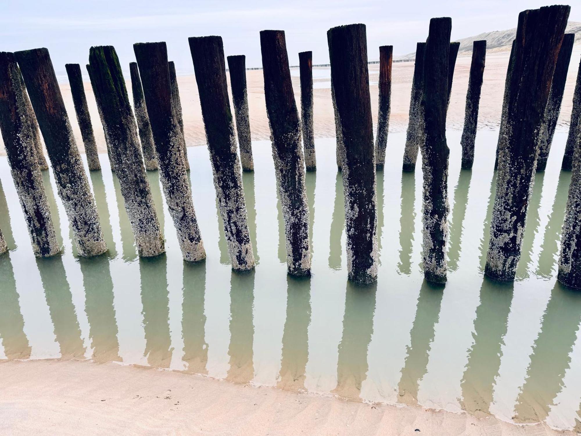 Beach & Forest Retreat -Domburg- 오스트카펠 외부 사진