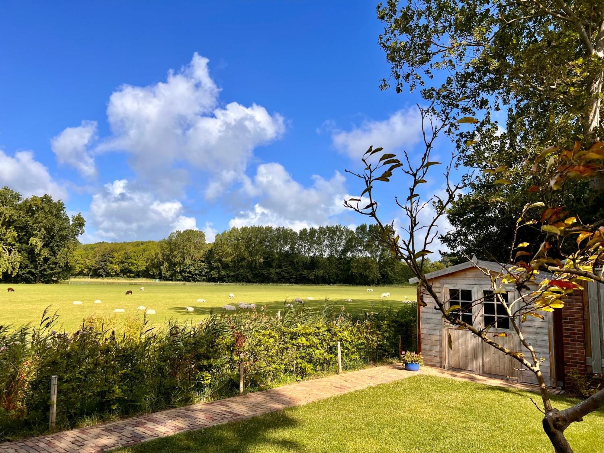 Beach & Forest Retreat -Domburg- 오스트카펠 외부 사진
