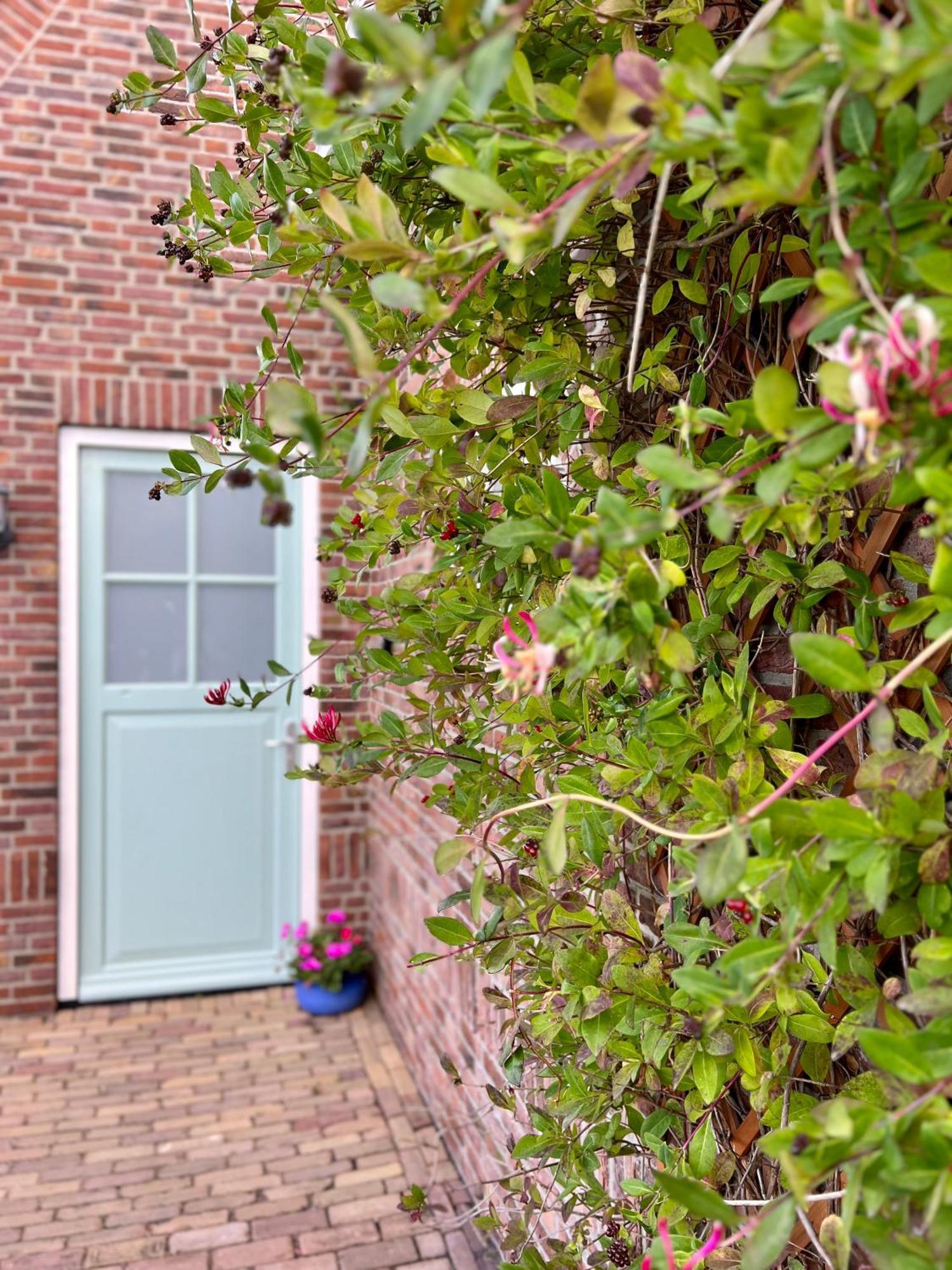 Beach & Forest Retreat -Domburg- 오스트카펠 외부 사진